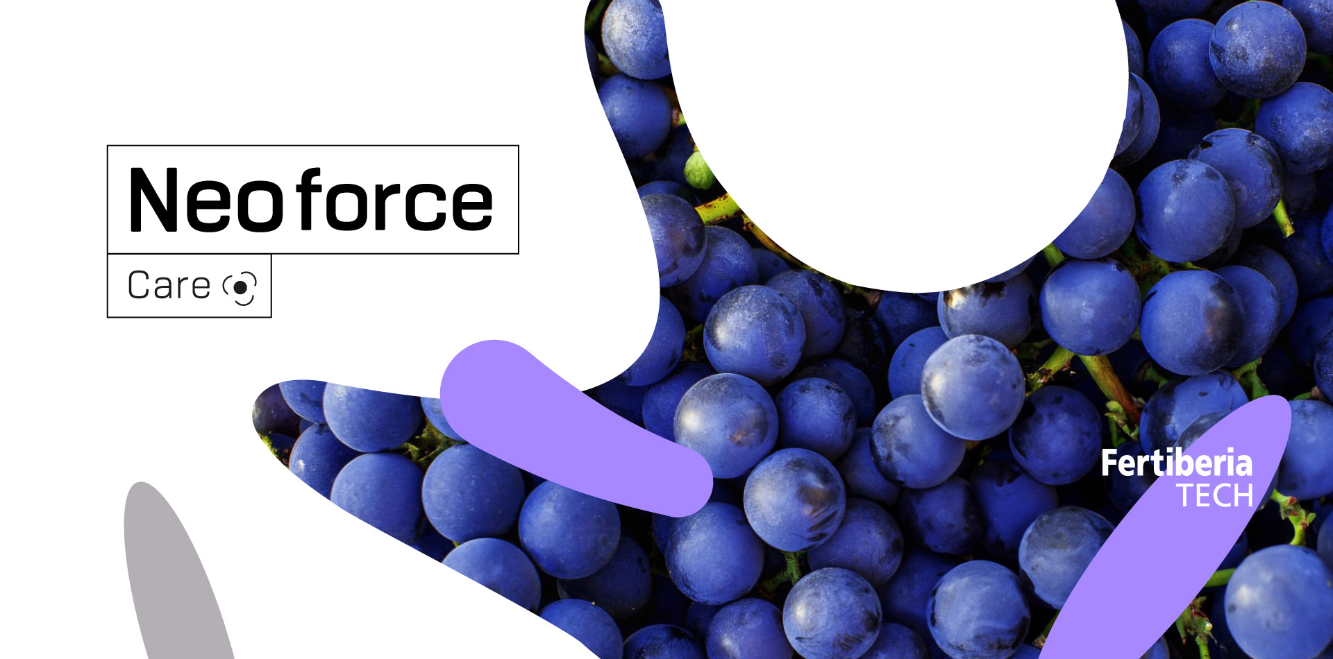 banner neoforce